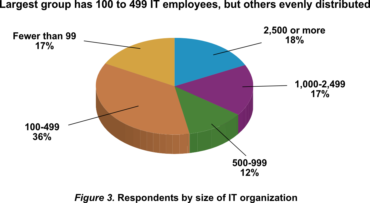 Figure 3. Respondents by size of IT organization